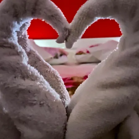 Charming Stone In The Heart Of Daire Split